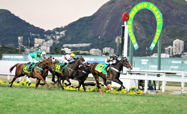 Veterinário do animal ganhador do GP Brasil receberá o Troféu Eduardo Buffara