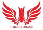 Pegasus Brasil, no Tarumã, é atração do domingo na Tv Turfe
