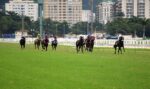 Liderança da Geração 2022 em jogo no GP Jockey Club Brasileiro – Haras Santa Rita da Serra (G1)