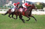 Zero Zero Sete, a estreia auspiciosa do Haras Legacy