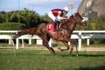 Nova Déli domina a milha do GP Onze de Julho (G2)