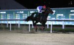 De ponta a ponta, Urano Negro conquista o Handicap