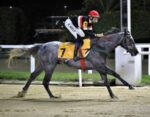 Galeria de Fotos – Confira os vencedores desta SEGUNDA (07/07) no JCB