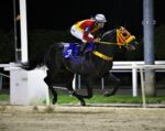 Galeria de Fotos – Confira os vencedores desta SEGUNDA (28/07) no JCB