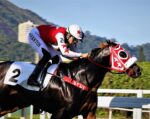 Galeria de Fotos – Confira os vencedores deste DOMINGO (27/07) no JCB