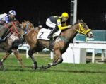 Galeria de Fotos – Confira os vencedores desta SEGUNDA (14/07) no JCB