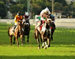 Galeria de Fotos – Confira os vencedores deste DOMINGO (13/07) no JCB