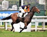 Galeria de Fotos – Confira os vencedores deste DOMINGO (20/07) no JCB