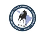 OSAF divulga os Ratings da Temporada 2024/2025 na América do Sul