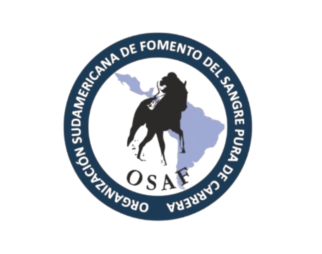 OSAF divulga os Ratings da Temporada 2024/2025 na América do Sul