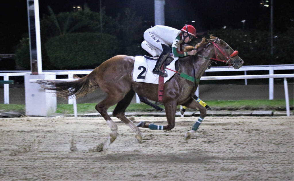 Turfista no Rio Grande do Sul fatura mais de R$ 67 mil no Pick 7