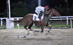 Turfista no Rio Grande do Sul fatura mais de R$ 67 mil no Pick 7