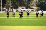 Equilíbrio é a tônica do GP Onze de Julho (G2), domingo (20), na Gávea