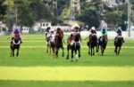 Seletiva do Latinoamericano e mais cinco provas clássicas no ótimo domingo de turfe na Gávea
