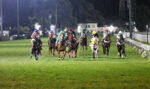 Listeds em destaque na Gávea