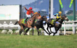 Quadro de Honra – GP Brasil (G1)