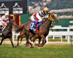 Night Of Rose brilha no GP Roberto e Nelson Seabra – Haras Santa Maria de Araras (G1)