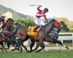 Mandrake, um mágico e inédito tricampeão do GP Major Suckow – Haras Niju (G1)