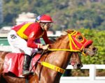 Galeria de Fotos – Confira os vencedores deste DOMINGO (03/08) no JCB