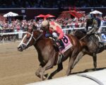 Com percurso acidentado, Antiquarian leva a melhor no Jockey Club Gold Cup (G1)