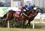 Melhor todo dia, Oderich conquista o GP J. Adhemar de Almeida Prado – Taça de Prata Potros