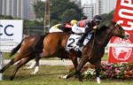 Invicta e poderosa, Special do Iguassu domina o GP Margarida Polak Lara – Taça de Prata Potrancas (G1)