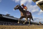 No caminho da BC Juvenile Fillies, Tommy Jo dá show no Spinaway (G1) e segue invicta