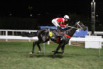 Turfista fatura mais de R$ 64 mil no Betting 4 EX