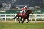 Gracie e Tengo Tengo, dobradinha do Haras Legacy no GP João José e José Carlos de Figueiredo (G3)