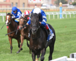 Joe Hirsch Turf Classic, o nono G1 de Rebel’s Romance