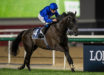 Rebel’s Romance corre G1, sábado (27), em Belmont At Big A
