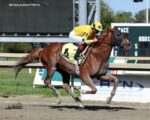 Um espetáculo de No Bien Ni Mal na Greenwood Cup (G3), em Parx Racing