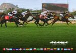Sábado é dia da fantástica reunião do 41º GP Latinoamericano (G1)