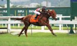 Vitória de Tyrion na milha e meia do GP João Borges Filho – Haras Rio Iguassu (G2)