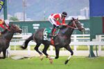 Olympic Orkut e Tengo Tengo, dobrada do Haras Legacy no GP Julio Cápua (G2)
