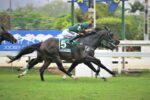 Em final sensacional, Legender supera Lendario Brujo no GP Cordeiro da Graça – IFHA