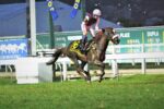 Nova Déli, uma exibição de gala no GP Marciano de Aguiar Moreira – Haras Legacy (G2)