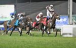 Zucca Baby, um espetáculo no GP Jockey Club de São Paulo – Japan Racing Association Cup (G1)