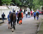 GP Latinoamericano (G1): Confira o passeio dos animais na Gávea