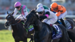 Atropelada irresistível de Balantina na BC Juvenile Fillies Turf (G1)