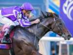 Bela exibição de Gstaad na BC Juvenile Turf (G1)