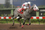 GP Latinoamericano e sua história – Deepak – 2008 – Hipódromo de Monterrico – Peru
