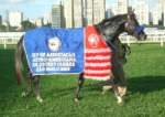 GP Latinoamericano e sua história – Hot Six – 2009 – Cidade Jardim – Brasil