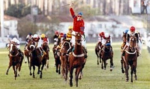 GP Latinoamericano e sua história – Much Better – 1996 – Hipódromo da Gávea – Brasil