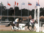 GP Latinoamericano e sua história – Jimwaki – 1998 – Hipódromo de San Isidro – Argentina