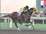 GP Latinoamericano e sua história – Manyuz – 2024 – Hipodromo de Monterrico – Peru