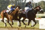 GP Latinoamericano e sua história – Quick Casablanca – 2012 – Palermo – Argentina