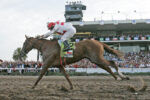 GP Latinoamericano e sua história – Sabor A Triunfo – 2013 – Hipodromo Chile