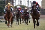 Gávea recebe o GP Jockey Club de São Paulo – Japan Racing Association Cup (G1)