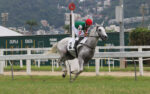 Pedigrees da semana: Meeting de Novembro